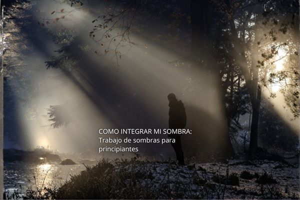 CÓMO INTEGRAR MI SOMBRA: Trabajo de sombras para principiantes