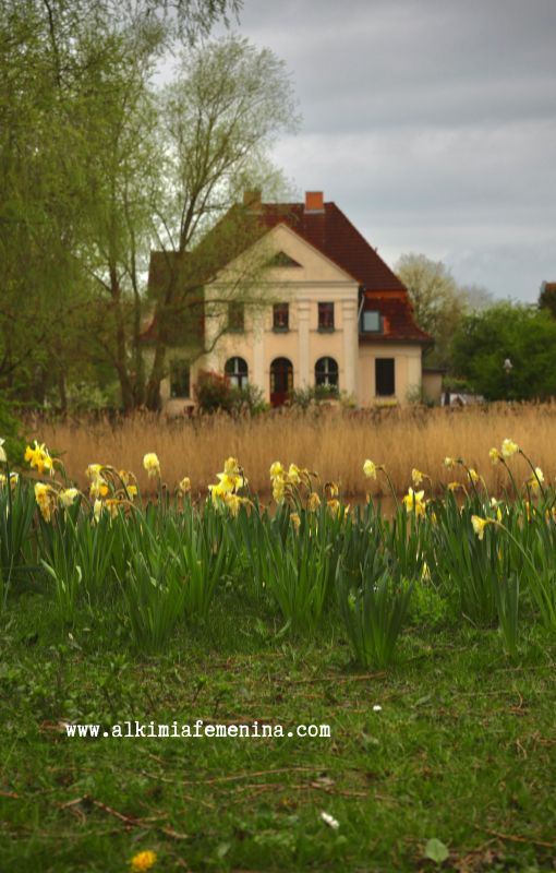POR QUÉ ME CUESTA SOLTAR UNA CASA HEREDADA